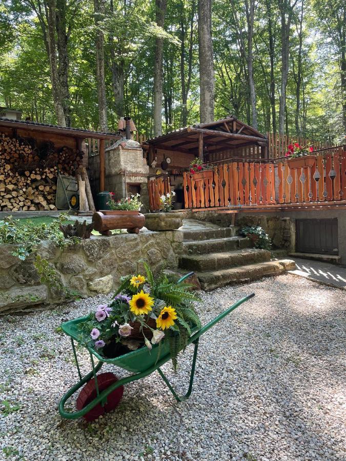 Chalet I Folletti Lägenhet Abbadia San Salvator Exteriör bild